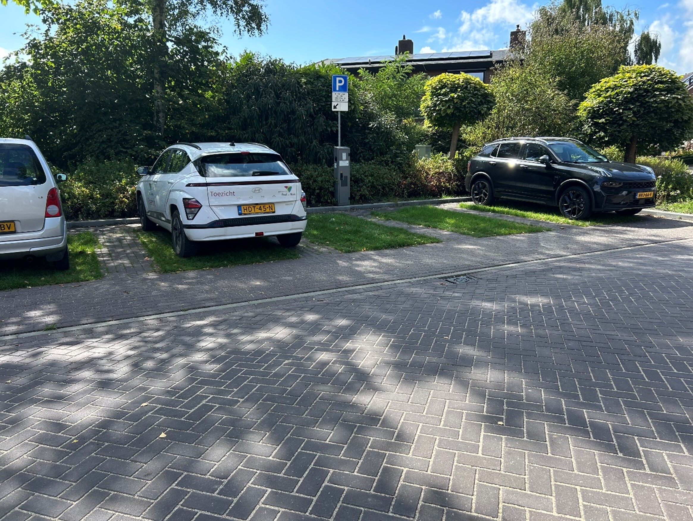 Voorbeeld groene parkeervakken