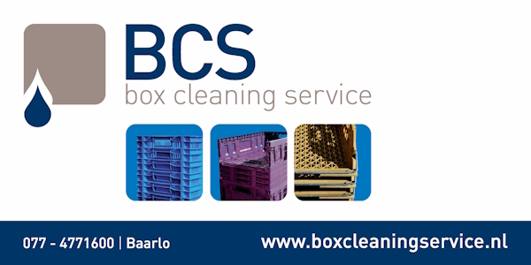 Box Cleaning Service